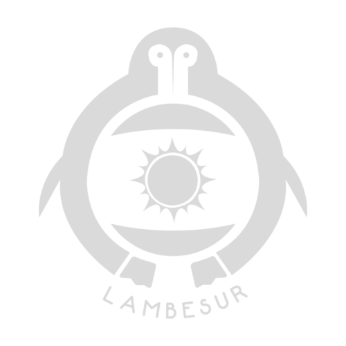 lambesur_2020_marca lambesur_2020_marca